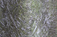 Ellerburn fibreglass roof work